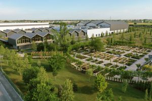 Davines Increases its Green Commitment