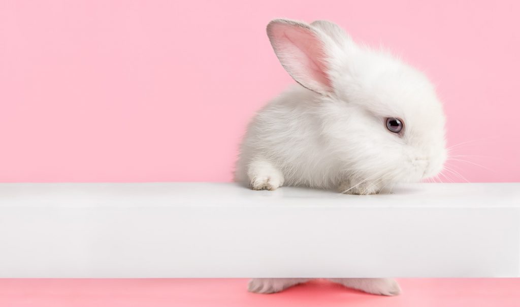 Cruelty-Free Sensitivity