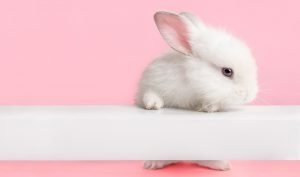 Cruelty-Free Sensitivity