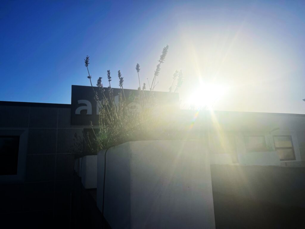 artego