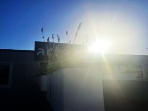 artego