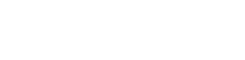 estetica export - logo